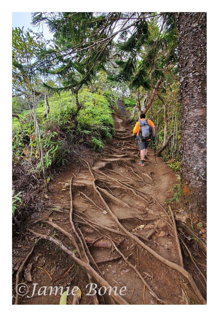 Oahu Hikes - Kuliouou Ridge Trail